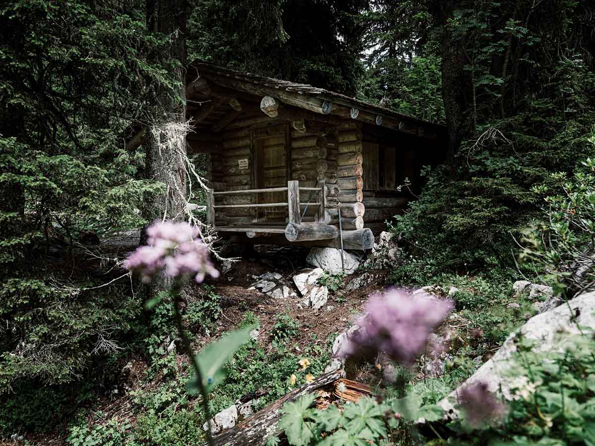 Secluded tiny log cabin in the woods