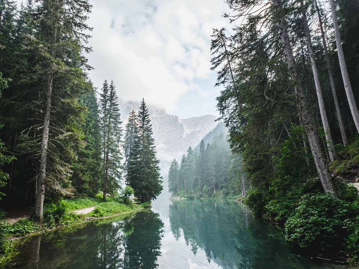 Calm river winding between two tree lined banks with mountains in the background