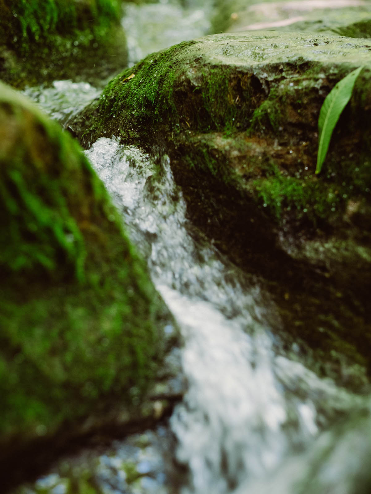 Fresh water rushing between two moss covered rocks
