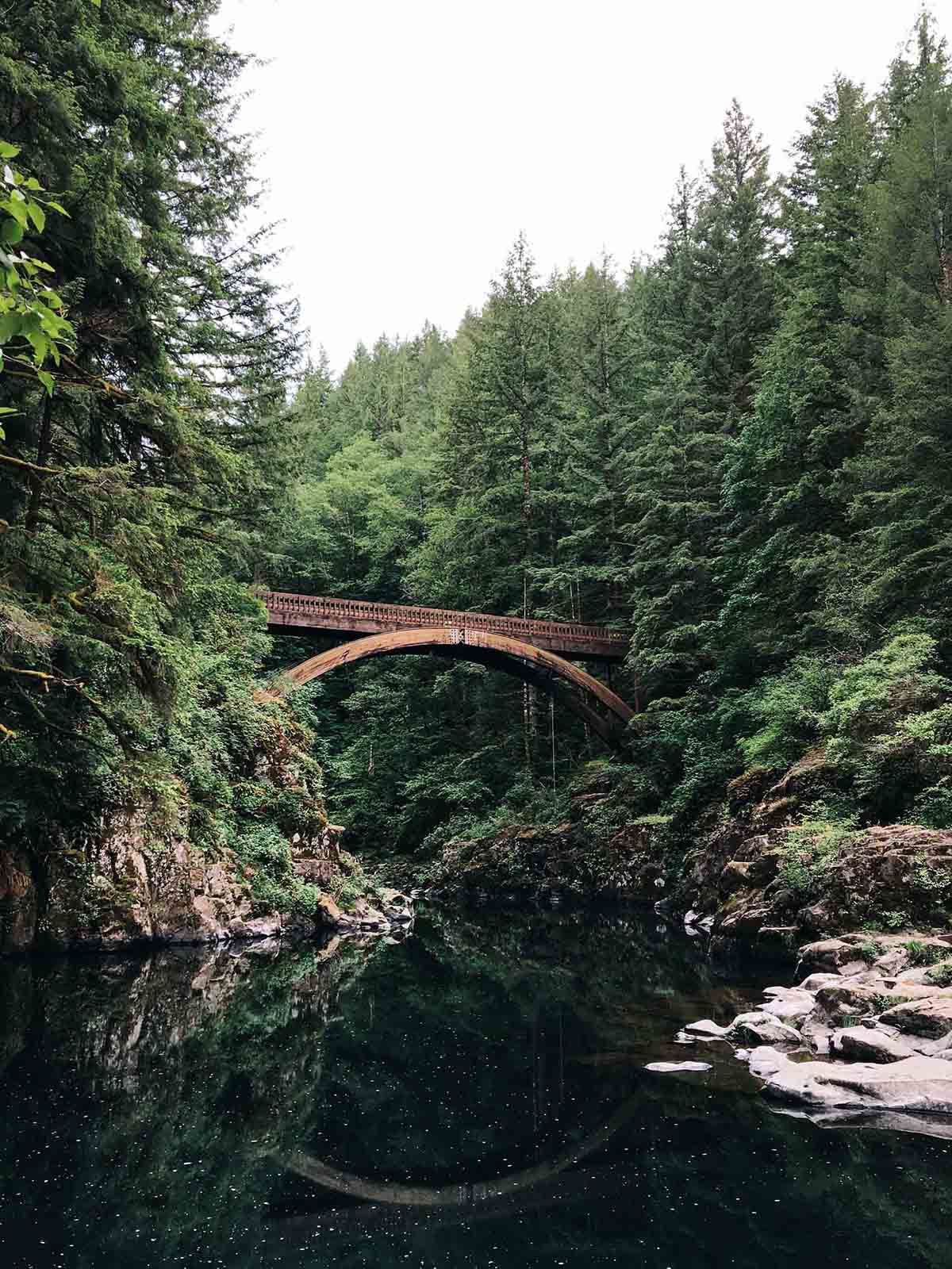 Curved rusted iron bridge spanning forest gorge over peaceful water