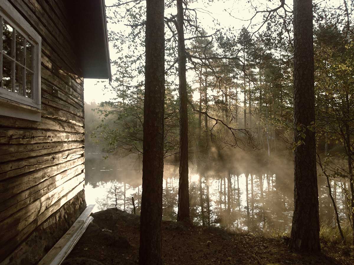 Mist rising off a still lake with tree trunks and wood siding of cabin in foreground and trees reflected in water.