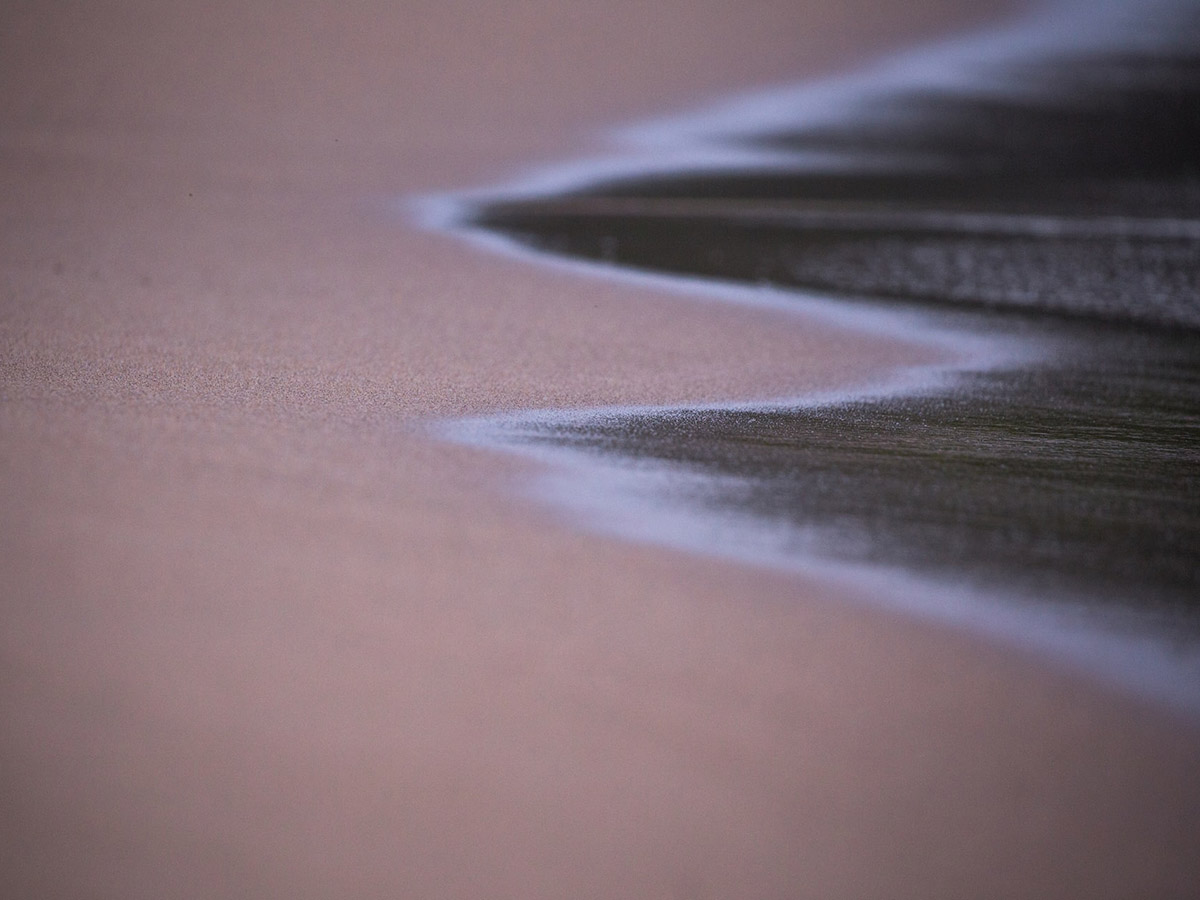 Glistening wet sand after surf has retreated.