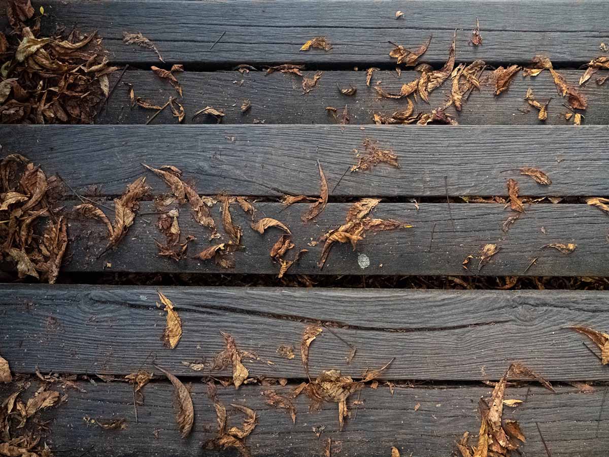 Textured wooden steps covered in crisp, fallen autumn leaves