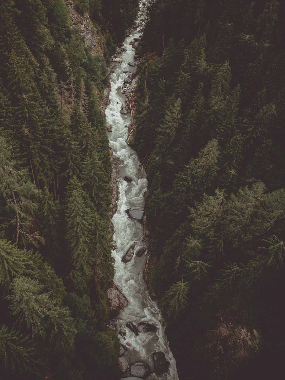 Birds eye view of raging river rushing through canyon between forest of pine trees